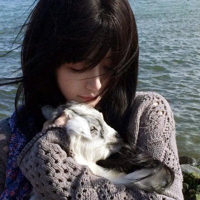 隐藏的面孔 海报
