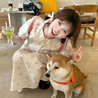 半镜 海报